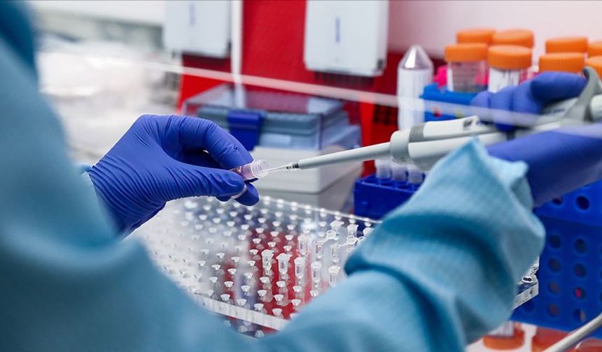 Bir Damla Kan Her Şeyi Söyler mi? Genetik Testlerin Gerçek Yüzü