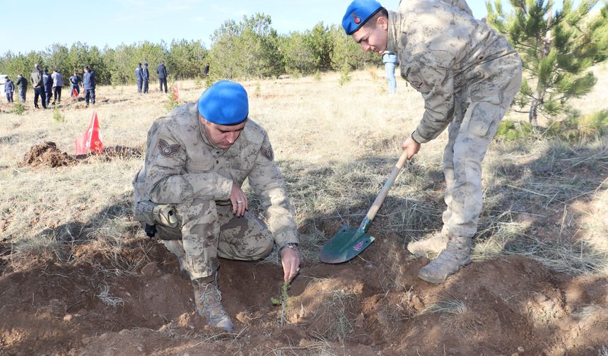 Kırşehir'de Jandarmadan Anlamlı Hareket