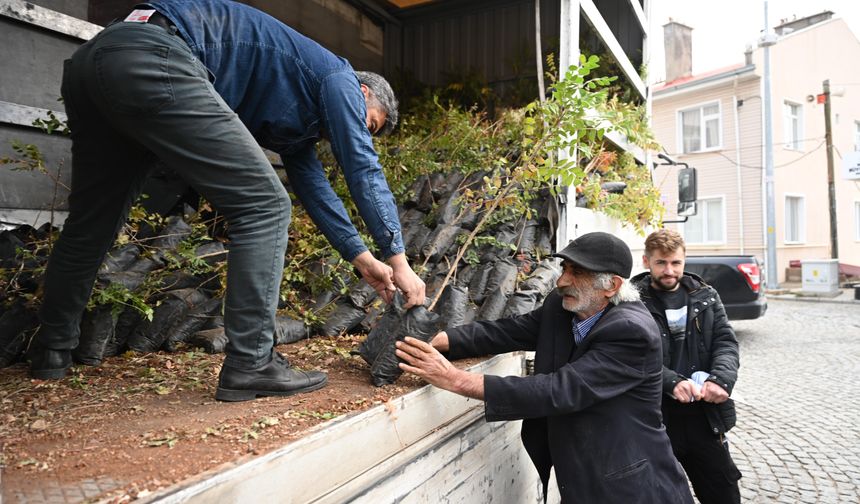 Konya'da Çiftçiler Kuraklığa Karşı Sumak Üretiyor