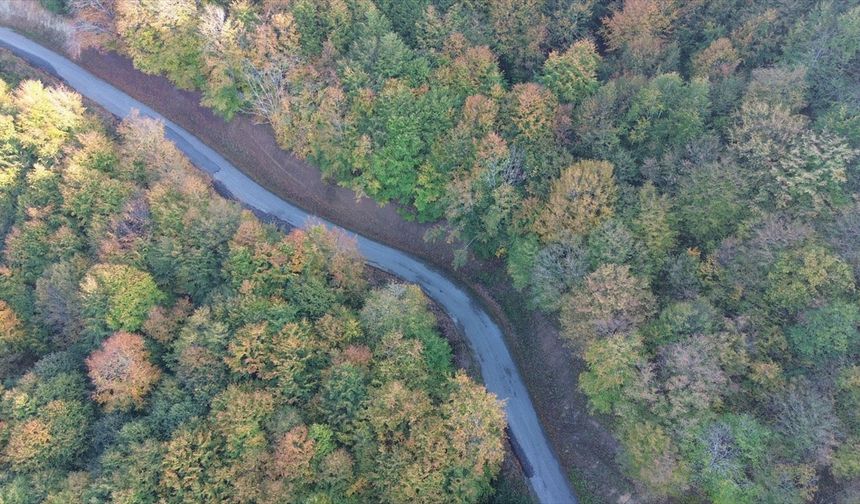 Samsun'da Yunt Dağı sonbahar renklerine boyandı
