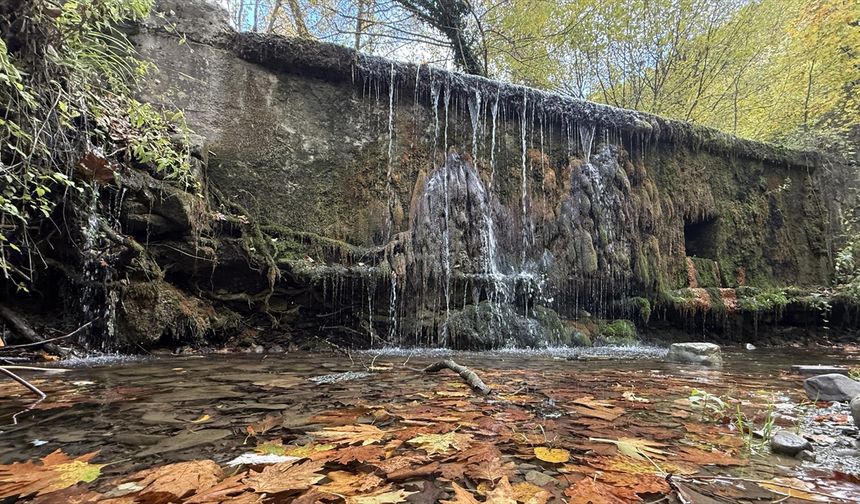 Tekirdağ'daki ormanlarda sonbahar renkleri hakim oldu