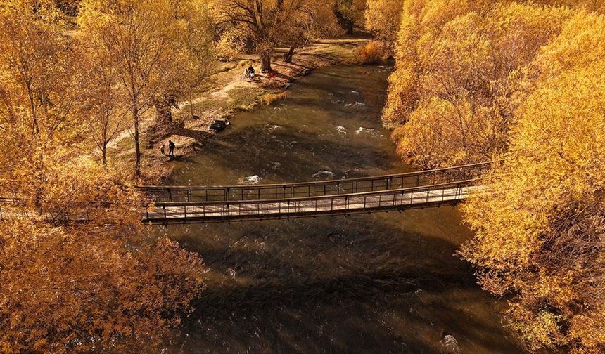 Van'daki İnci Kefali Tabiat Parkı sonbahar renkleriyle büyülüyor
