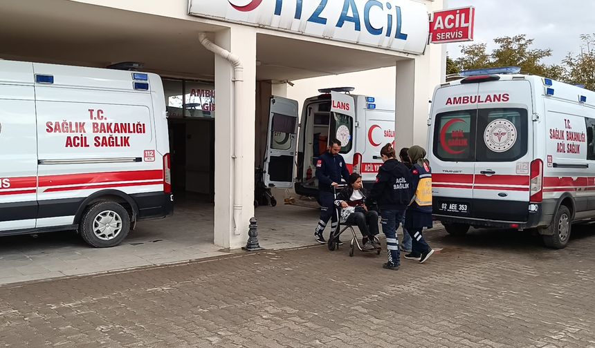 Adıyaman'da otomobil şarampole devrildi