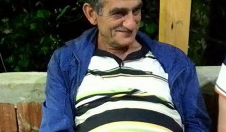 Arı Kovanlarının Bulunduğu Ahşap Yapı Devrildi