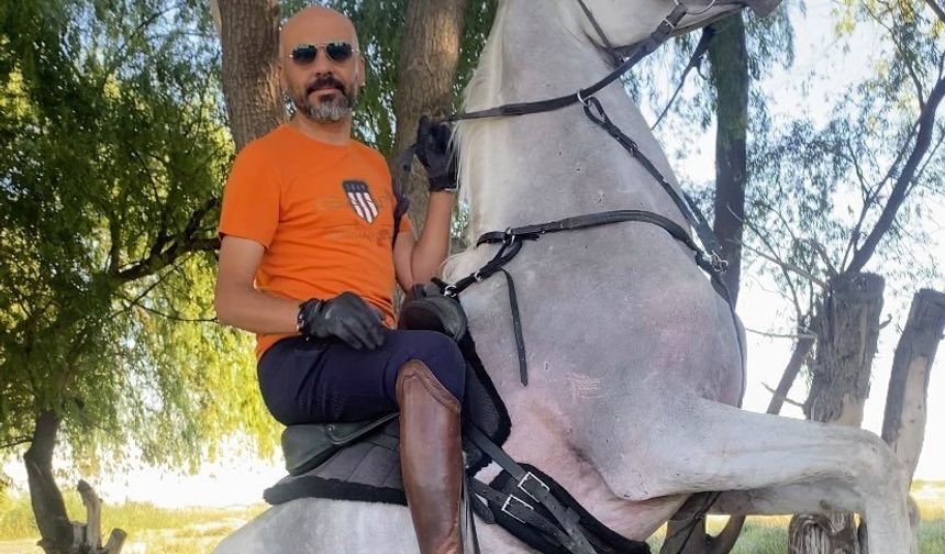 Atla Elektrik Direğine Çarptı