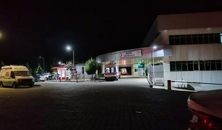 Bingöl'de polisle çatışmaya giren şahıs yakalandı