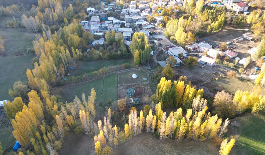 Bitlis'te sonbahar mevsimi doğal stüdyo oluşturdu
