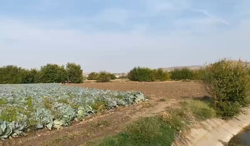 Elazığ'da kaybolan otizmli Veysel için arama çalışması başlatıldı