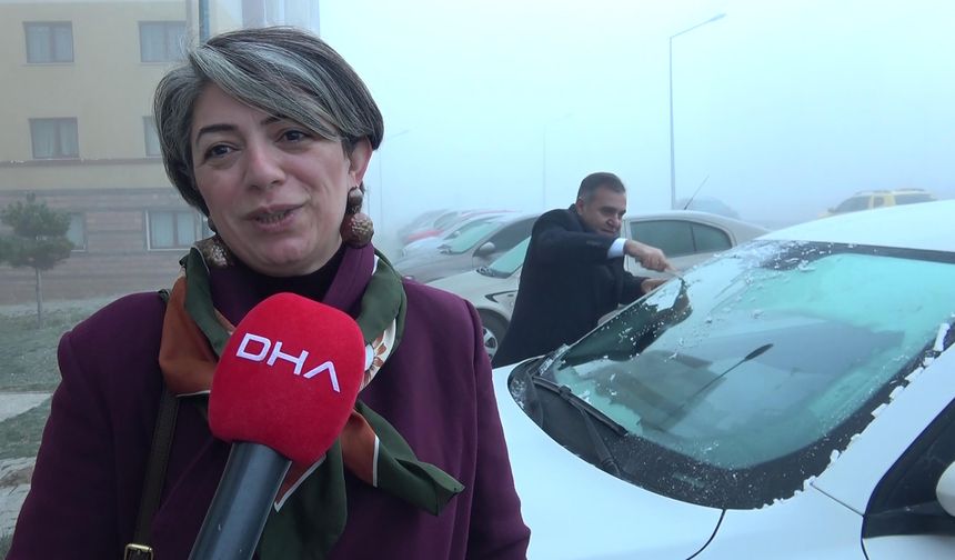 Erzurum ve Kars'ta Sis Kazaya Neden Oldu