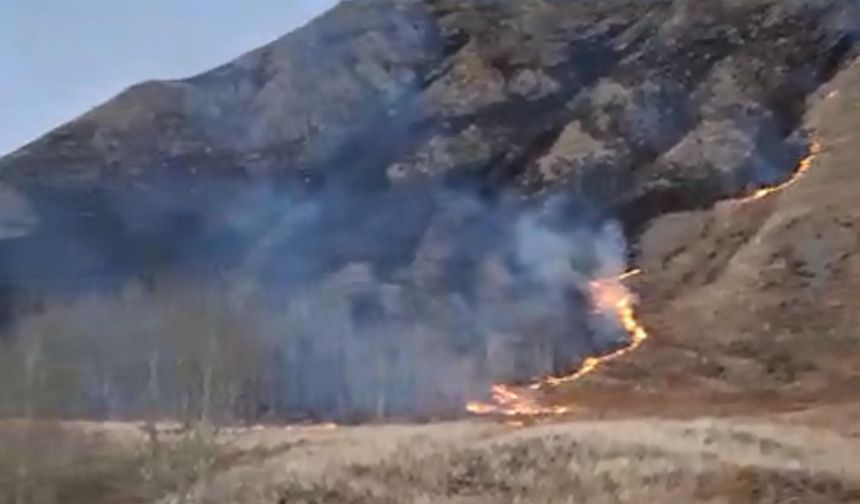 Erzurum'da örtü yangını meydana geldi