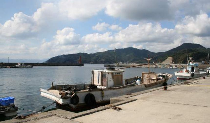 Japonya'da korkutan yangın