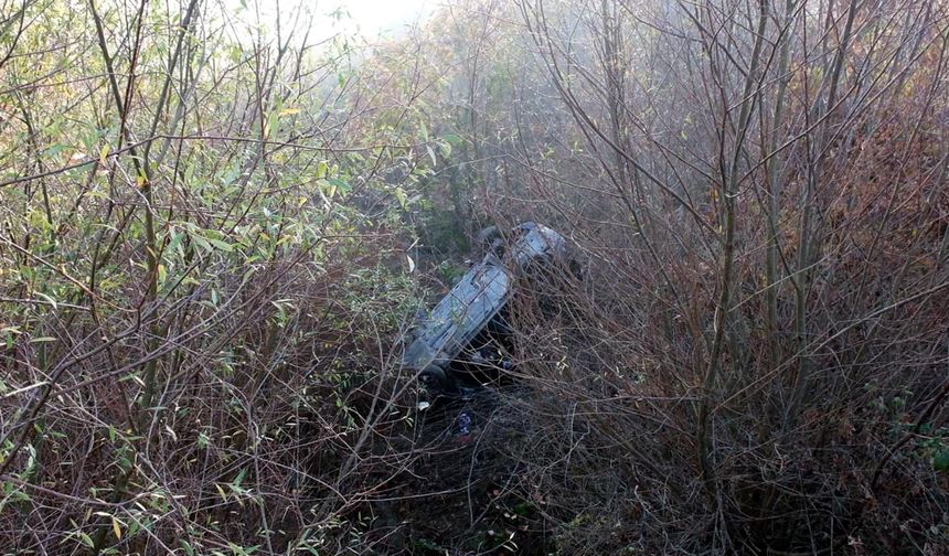 Kaçak göçmenleri taşıyan otomobil devrildi