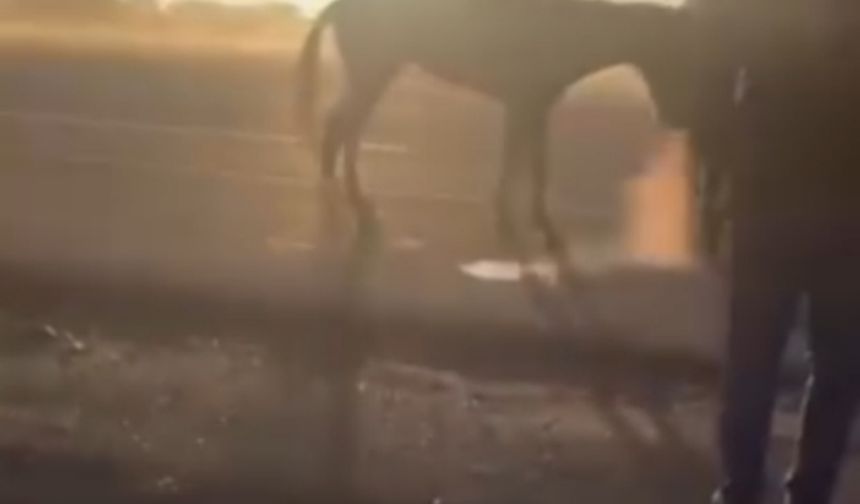 Kamyonetin arkasında dakikalarca sürüklendi