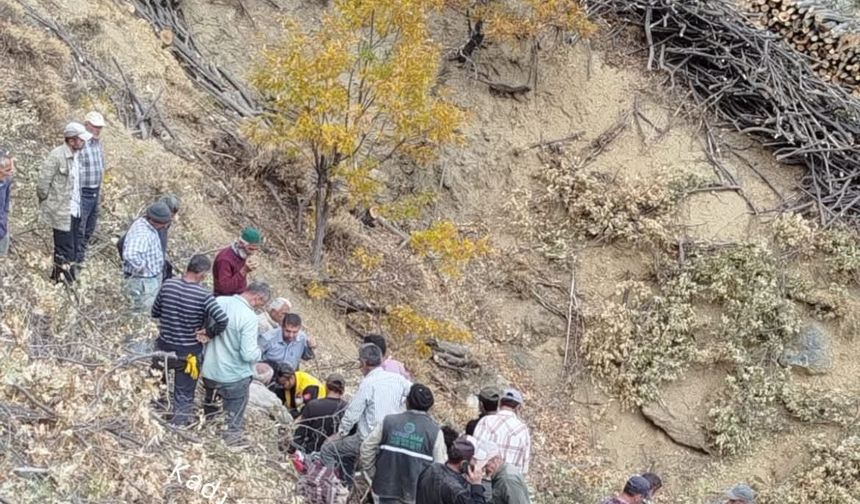 Odun toplamaya çıktığı dağda kalp krizi geçirdi