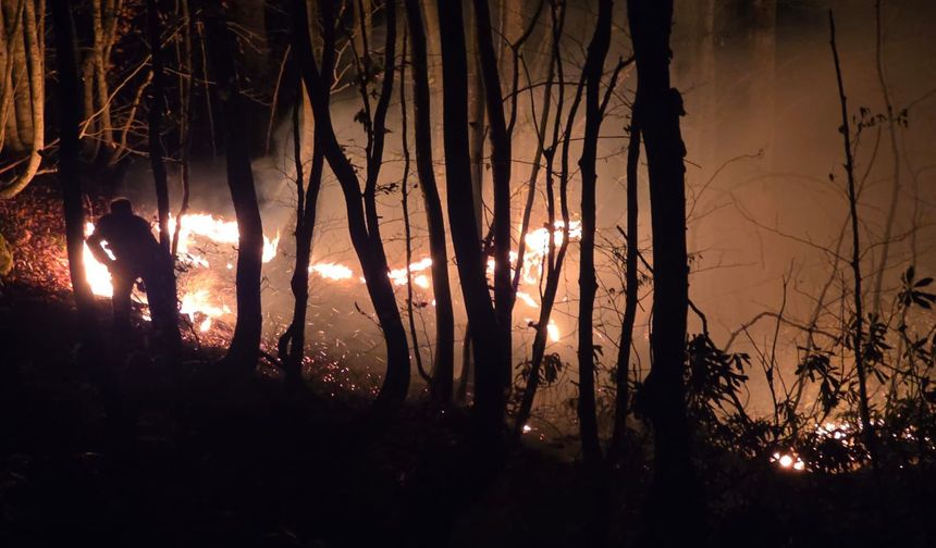 Ordu'da örtü yangını ormana sıçradı