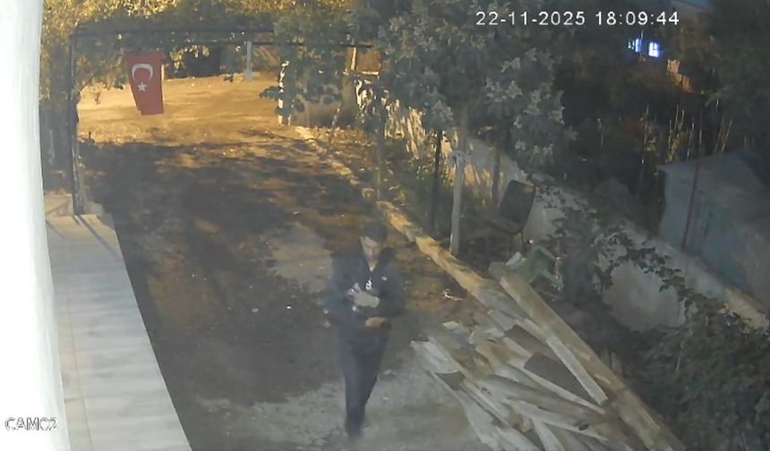 Osmaniye'de Mavi Yumurtlayan Özel Cins Tavuğu Çaldılar