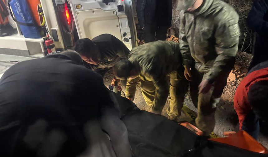 Posof'ta kamyon uçuruma yuvarlandı