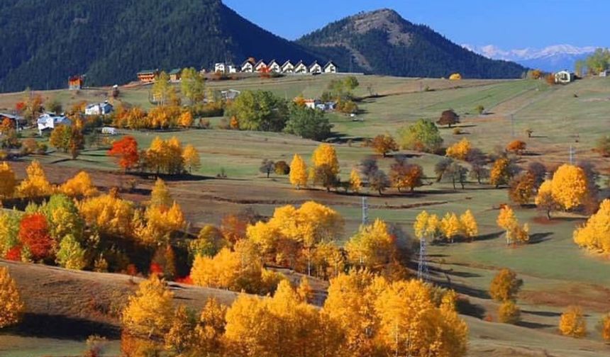 'Sakin şehir' Şavşat'ta sonbaharda renk cümbüşü