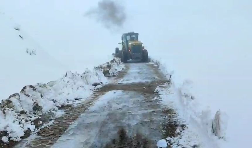 Siirt'te kar nedeniyle araçlar mahsur kaldı