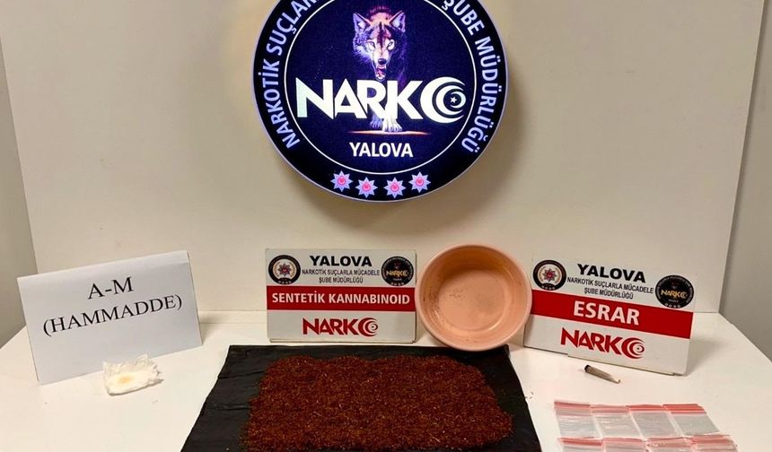 Yalova'da uyuşturucu operasyonu