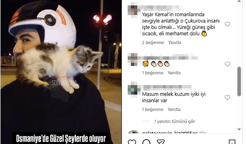 Yolda bulduğu yavru kediyi omzunda eve götürdü