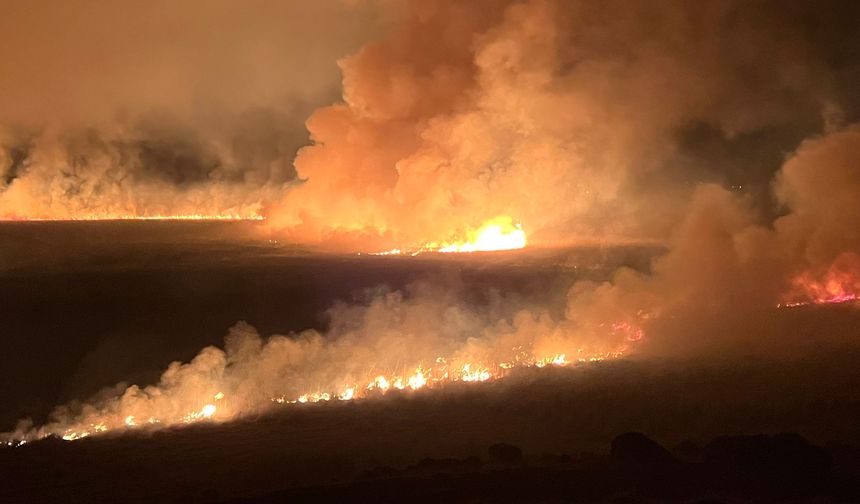 Yüksekova'daki Nehil Sazlığı Yandı