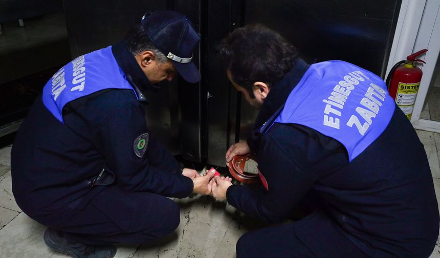 Etimesgut'ta Gıda Güvenliği Denetimi