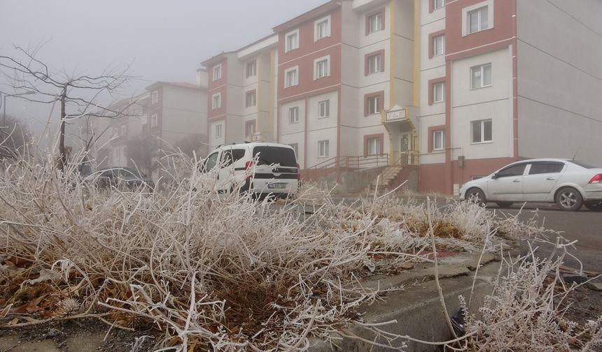 Bitlis'te sis etkisini gösterdi
