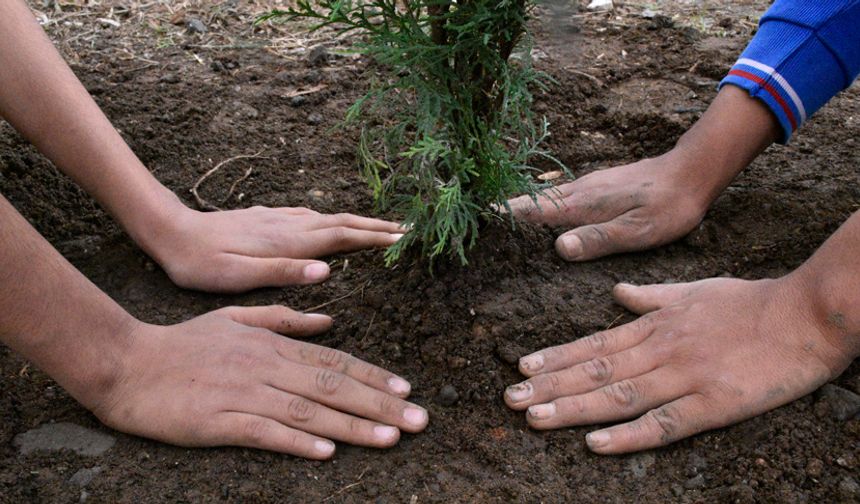 Aydın'da 33 şehit polis anısına 333 fidan dikildi