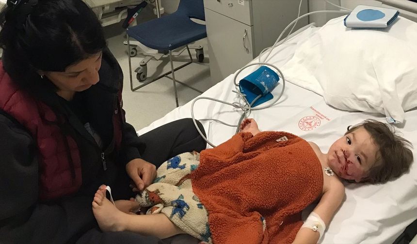 Ankara'da 2 çocuk köpek saldırısına uğradı