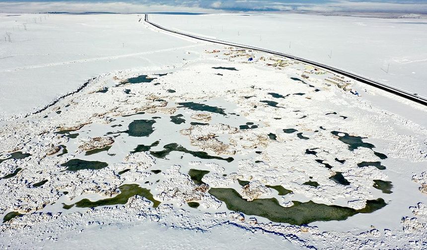 Göç Kuşlarının Durağı Çalı Gölü dondu
