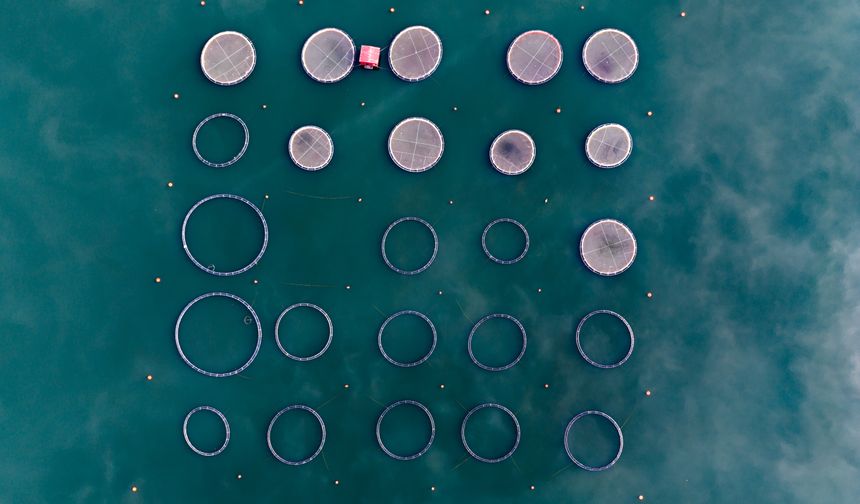 Karacaören Barajı'ndan bölge ekonomisine katkı