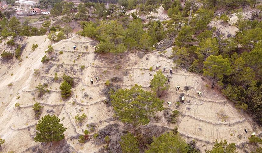 Orman İşçileri Erozyona Karşı Sahada