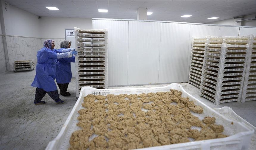Tescilli Malatya Tarhanası İhracata Hazırlanıyor