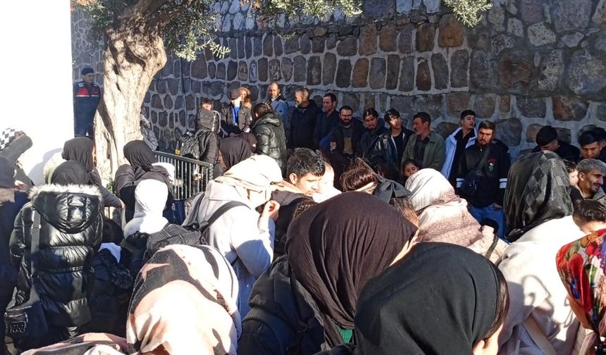 Bodrum'da 82 kaçak göçmen yakalandı