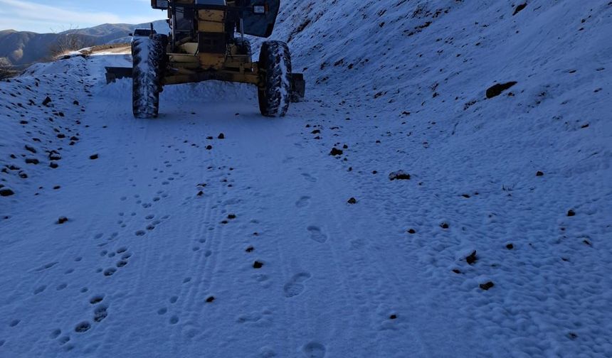 Elazığ'da karla mücadele başladı