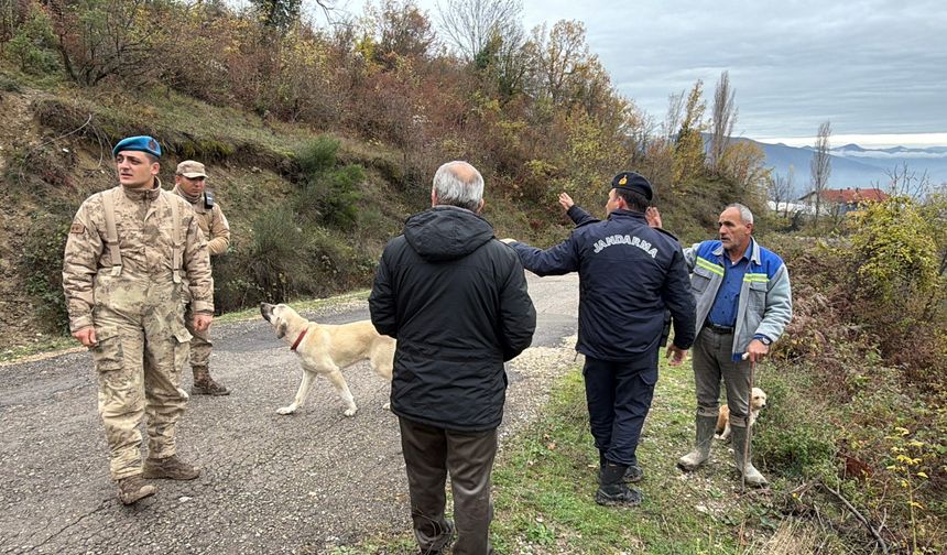 Kayıp kadını arama çalışmalarında devam ediyor
