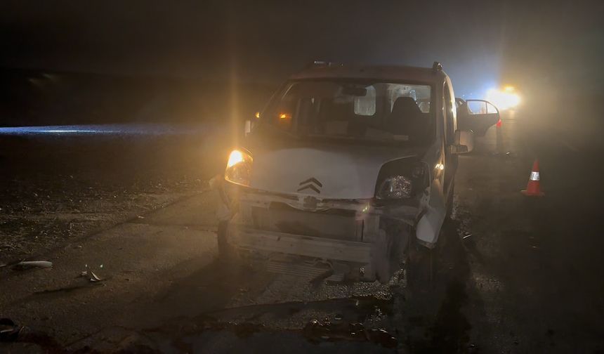 Malatya'da korkutan kaza: 12 koyun öldü