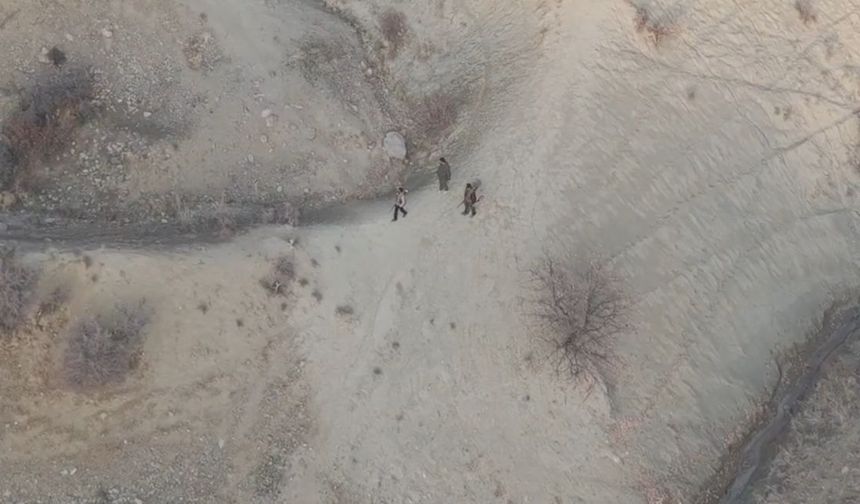 Tunceli'de yaban keçisi avlayanlara operasyon yapıldı