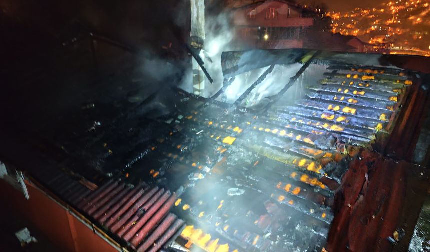 Yangında mahsur kalan papağanın yardımına itfaiye yetişti