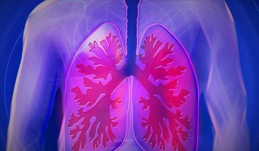 C vitamini akciğerlerdeki hücre hasarını azaltıyor mu?