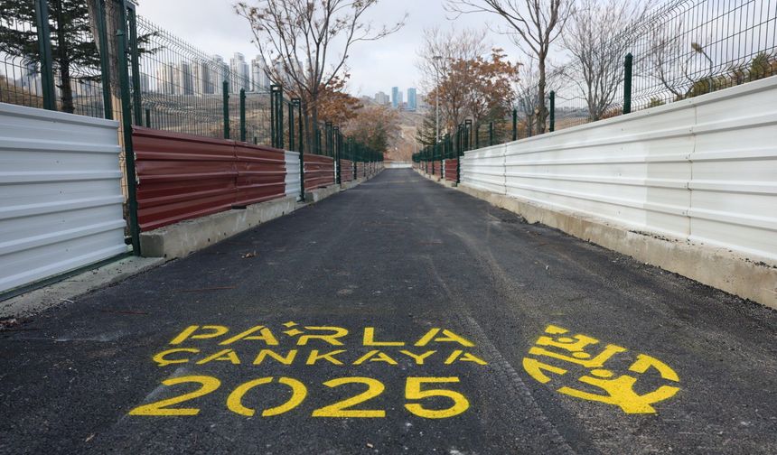 Çankaya'da Patili Dostlar için Yenileme Çalışması