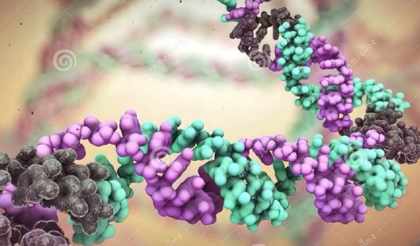 DNA hasarını nasıl engelleriz?