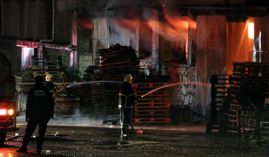 Adana'da Palet Fabrikası Yandı