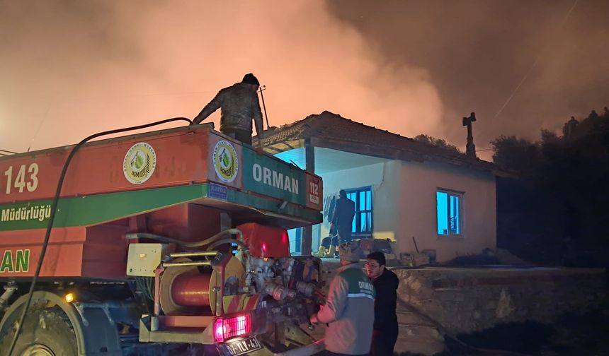 Antalya'da ormanı alevler sardı