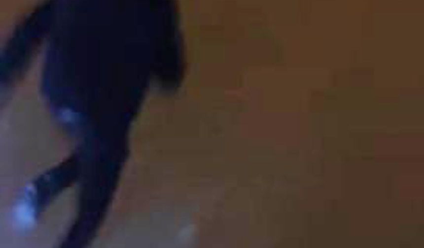 Arkadaş grubuna kurt saldırısı