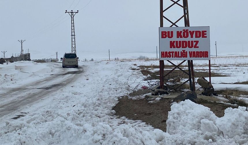 Bitlis'te kuduz vakası