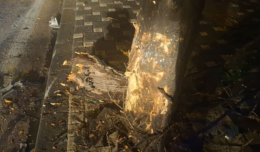 Bursa'da otomobil ağaca çarptı: 2 kişi yaralandı