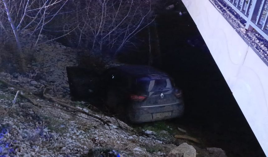 Bursa'da otomobil dereye uçtu