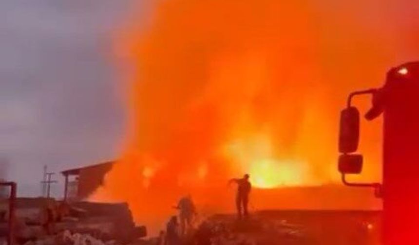 Bursa'da palet fabrikasında yangın çıktı